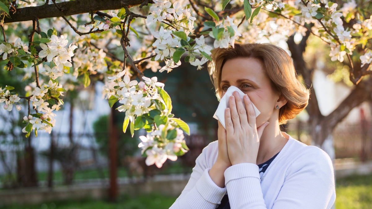 Getting Rid of Asthma and Allergies Has Never Been Easier