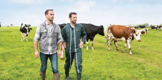 Veterinarians