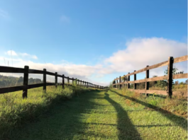 Fences